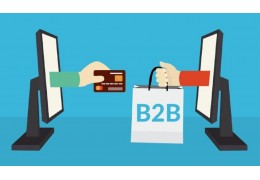¿Por que necesitamos un ecommerce B2B?